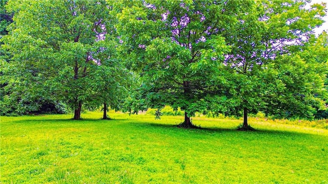 3150 Stratford Green Pl, Avondale Estates, GA 30002 - view of green lawn