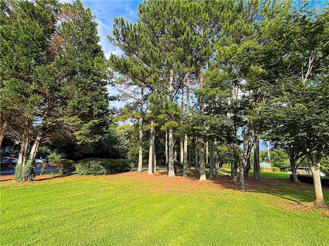 3150 Stratford Green Pl, Avondale Estates, GA 30002 - view of grassy yard