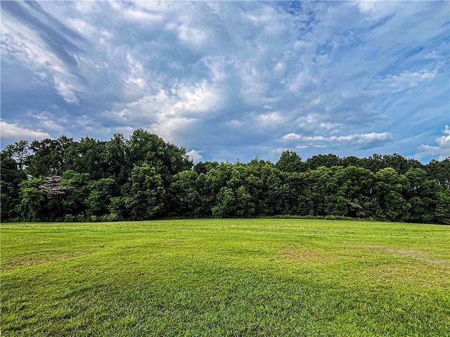 3150 Stratford Green Pl, Avondale Estates, GA 30002 - view of green lawn with a wooded view and a rural view