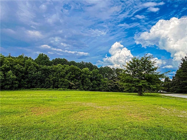 3150 Stratford Green Pl, Avondale Estates, GA 30002 - view of grassy yard with a view of trees