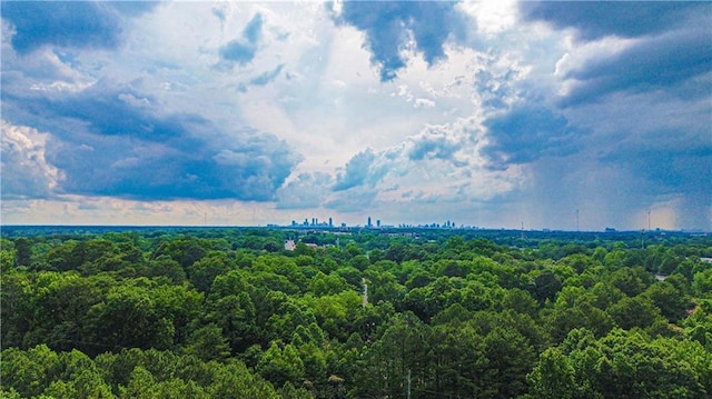 3150 Stratford Green Pl, Avondale Estates, GA 30002 - aerial view of a heavily wooded area