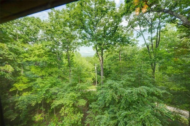652 Fox Run Dr, Blue Ridge, GA 30513 - view of wooded area