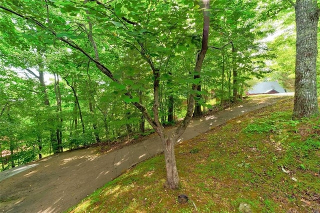 652 Fox Run Dr, Blue Ridge, GA 30513 - view of yard with a forest view