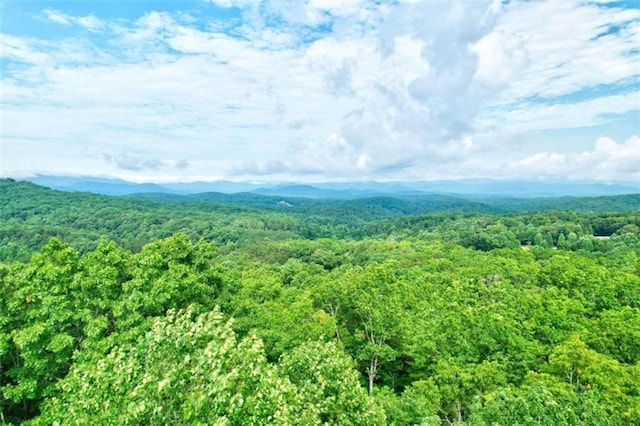 drone / aerial view featuring a mountain view