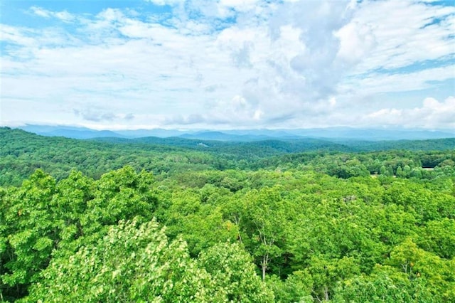 652 Fox Run Dr, Blue Ridge, GA 30513 - view of mountain backdrop with a forest