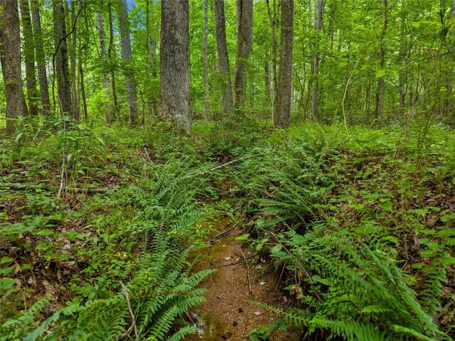 0 Worley Rd, Ball Ground, GA 30107