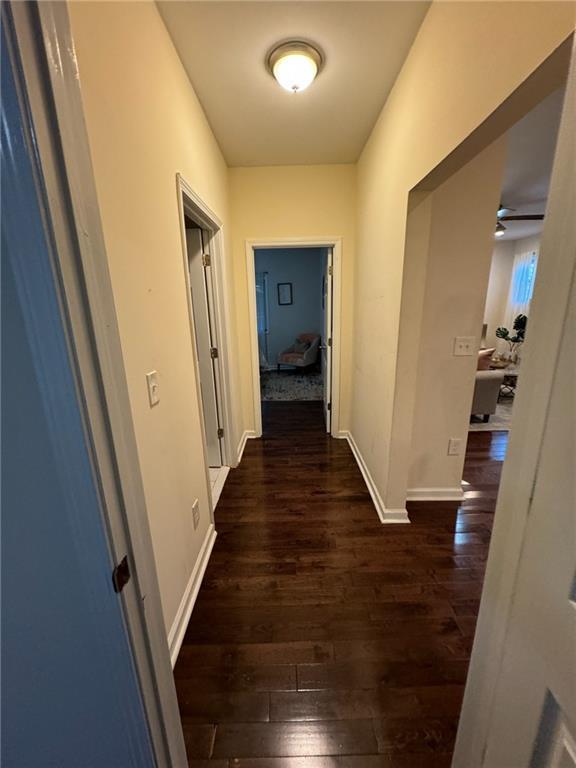 bedroom featuring ceiling fan, dark hardwood / wood-style floors, and multiple windows