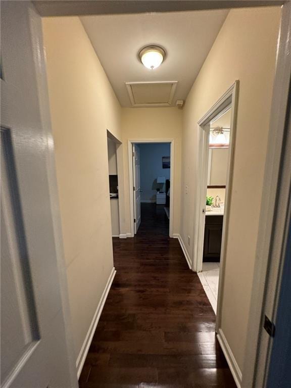 hallway featuring dark hardwood / wood-style floors