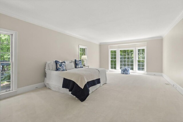 1585 Lazy River Ln, Sandy Springs, GA 30350 - carpeted bedroom featuring ornamental molding, multiple windows, and baseboards