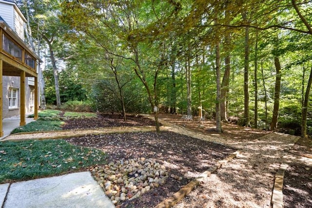 1585 Lazy River Ln, Sandy Springs, GA 30350 - view of yard
