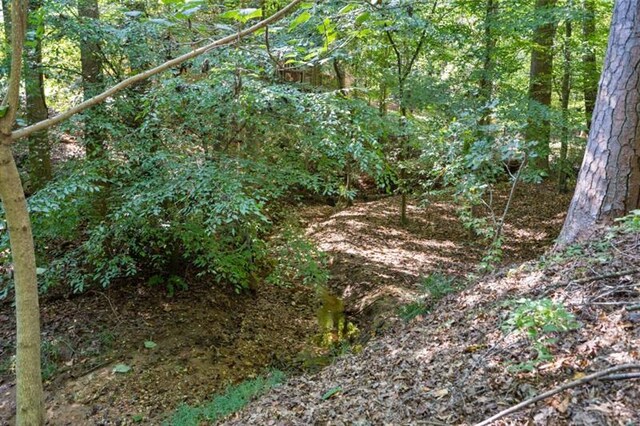 1585 Lazy River Ln, Sandy Springs, GA 30350 - view of local wilderness with a wooded view