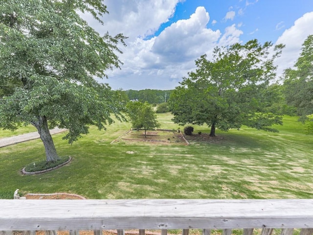 view of grassy yard