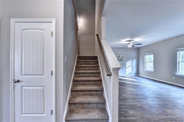 stairs featuring ceiling fan and wood-type flooring