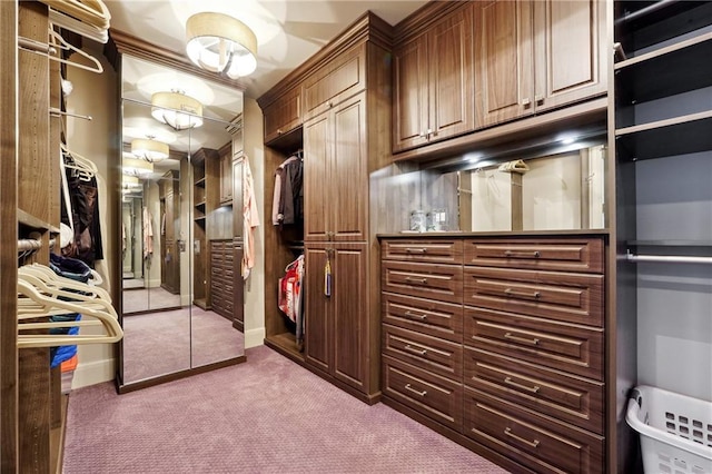 spacious closet with dark colored carpet