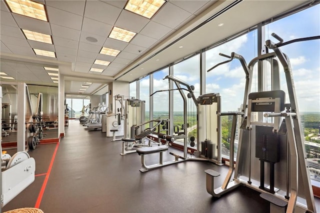 gym with a paneled ceiling and a wall of windows
