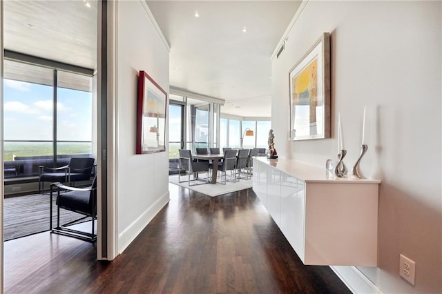 hall featuring dark hardwood / wood-style floors, expansive windows, and ornamental molding