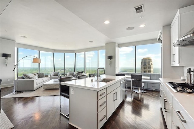 kitchen with white cabinets, a center island with sink, plenty of natural light, and sink