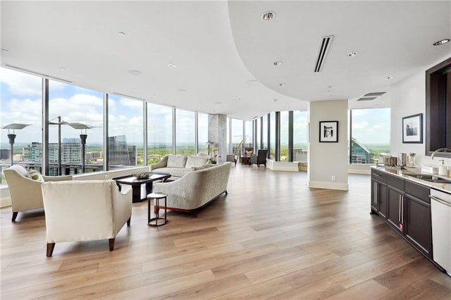 living room featuring sink and light hardwood / wood-style flooring