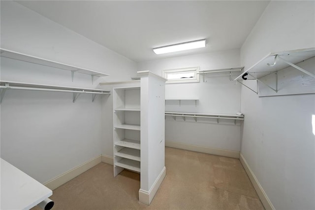 spacious closet with light colored carpet