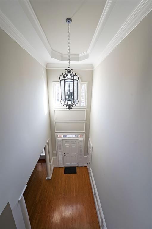 entrance foyer featuring dark wood-type flooring, crown molding, a raised ceiling, and an inviting chandelier