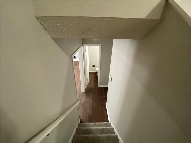 stairway with hardwood / wood-style flooring