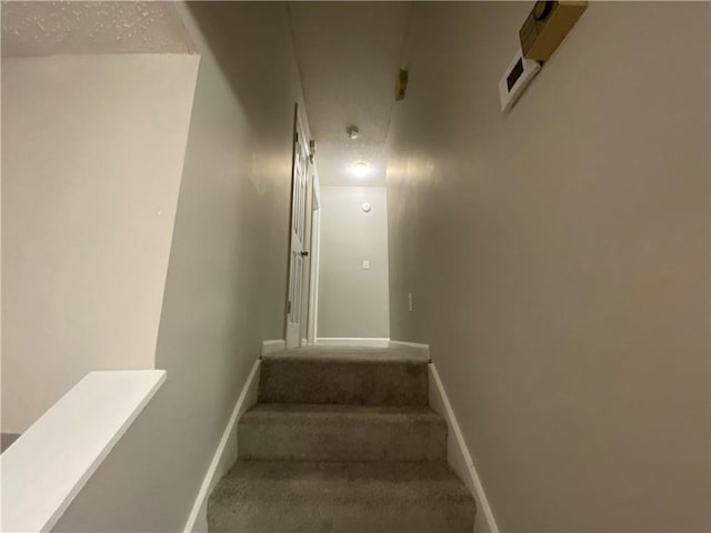 stairway with carpet floors