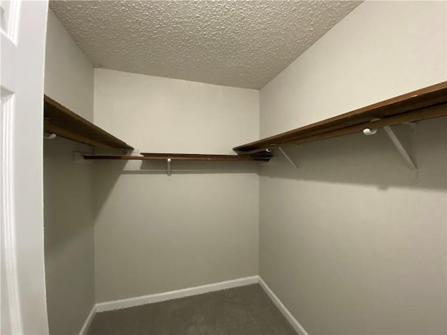 spacious closet with carpet