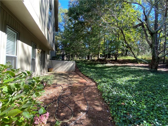 view of yard with a patio area