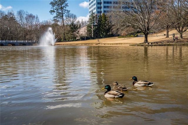 view of water feature