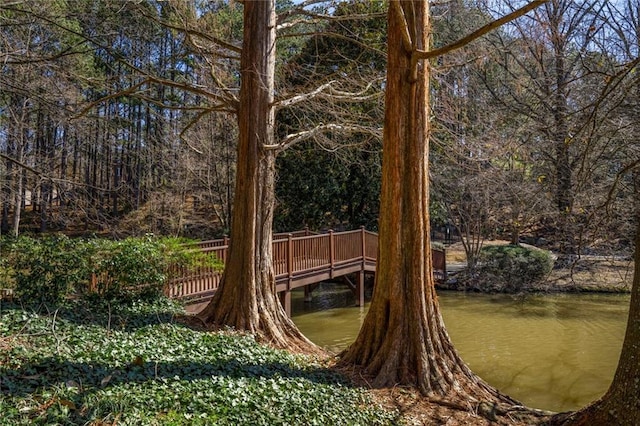 view of yard with a water view