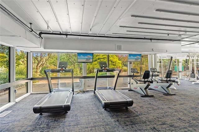 workout area with carpet flooring