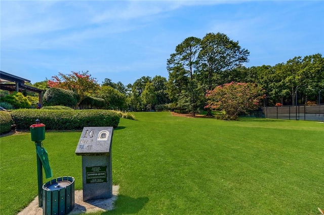 view of property's community with a yard