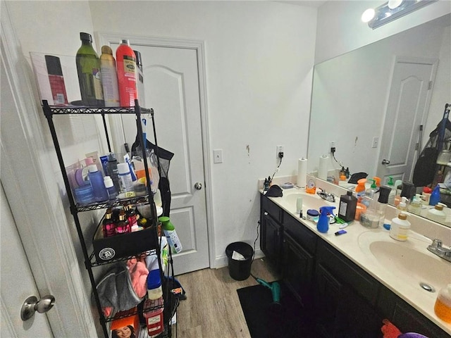 bathroom featuring wood finished floors and double vanity
