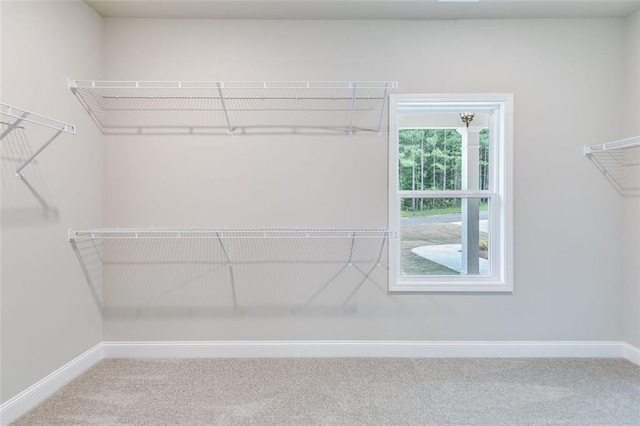 walk in closet featuring carpet floors