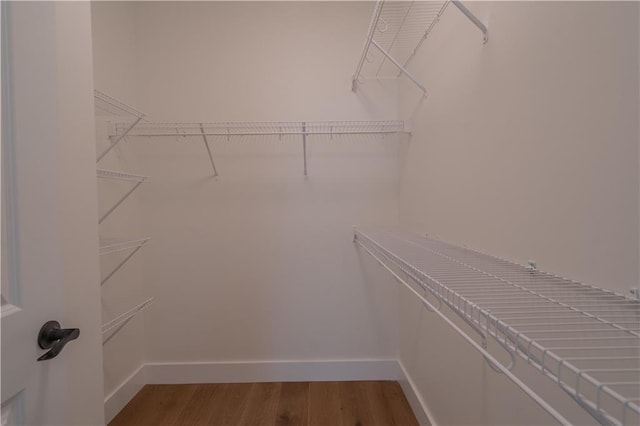 spacious closet with wood-type flooring