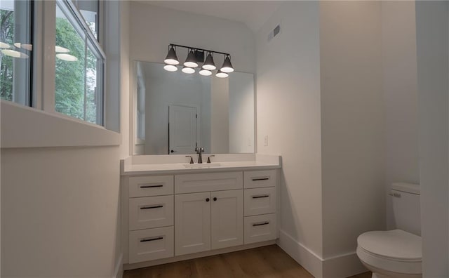 bathroom with vanity, toilet, and wood-type flooring