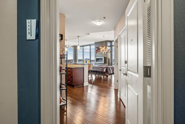 corridor featuring dark wood-style floors