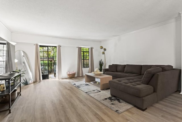 living room featuring light hardwood / wood-style floors, ornamental molding, and a textured ceiling