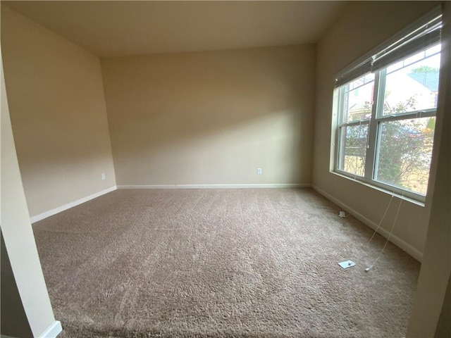 spare room with baseboards and carpet flooring