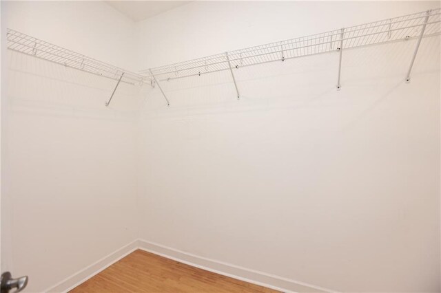 3541 Roswell Rd NE Unit 20, Atlanta, GA 30305 - walk in closet with light wood-style flooring