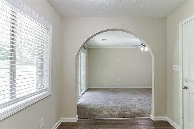 unfurnished room with ceiling fan, a textured ceiling, dark hardwood / wood-style floors, and a healthy amount of sunlight