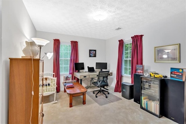 40 Picketts Forge Dr W, Acworth, GA 30101 - home office featuring carpet floors and a textured ceiling