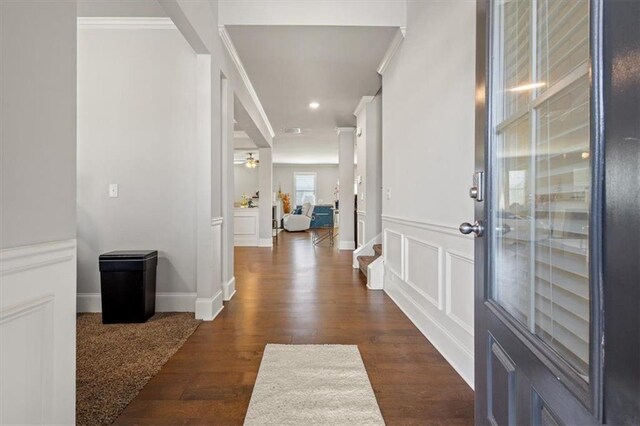 entrance foyer featuring crown molding, ceiling fan, and dark wood-type flooring