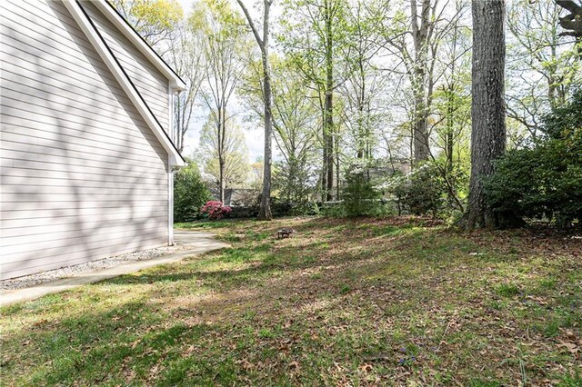 view of yard