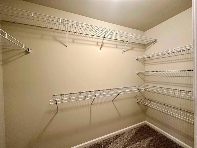4875 Carre Way, Alpharetta, GA 30022 - walk in closet with carpet