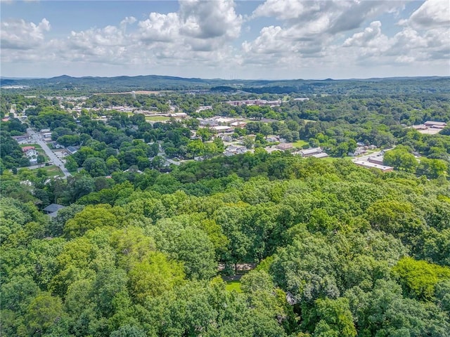 103 White Cir, Rockmart, GA 30153 - drone / aerial view of a forest