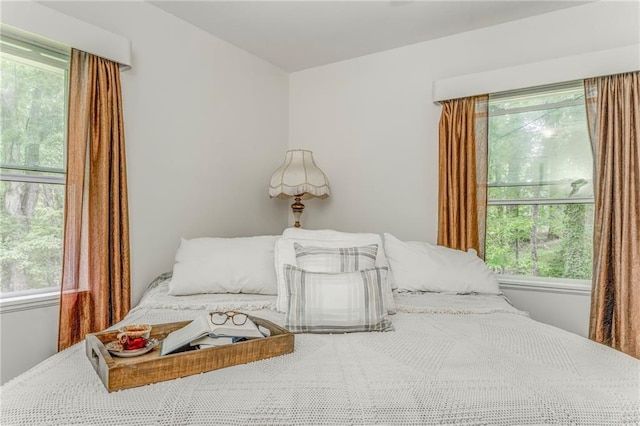 103 White Cir, Rockmart, GA 30153 - bedroom with multiple windows