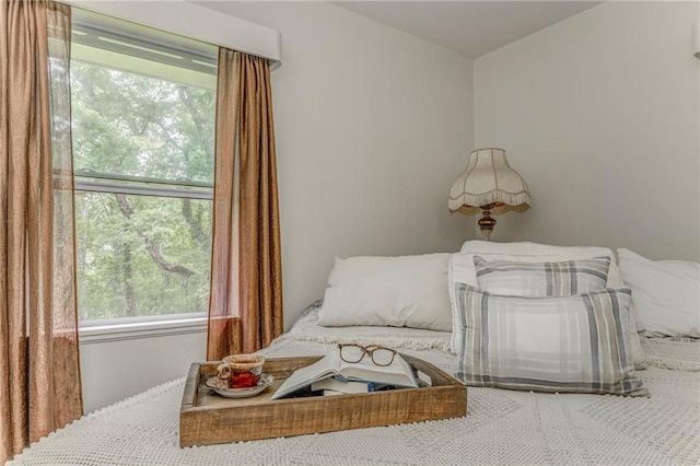 103 White Cir, Rockmart, GA 30153 - bedroom with multiple windows
