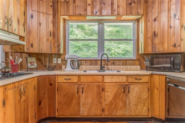 103 White Cir, Rockmart, GA 30153 - kitchen featuring a sink, stainless steel dishwasher, cooktop, light countertops, and black microwave