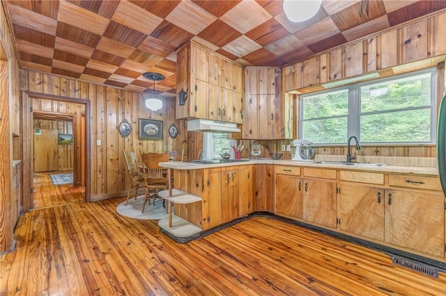 103 White Cir, Rockmart, GA 30153 - kitchen featuring a sink, wooden ceiling, wooden walls, light countertops, and under cabinet range hood